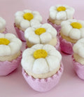 Coming Soon - Daisy Cake